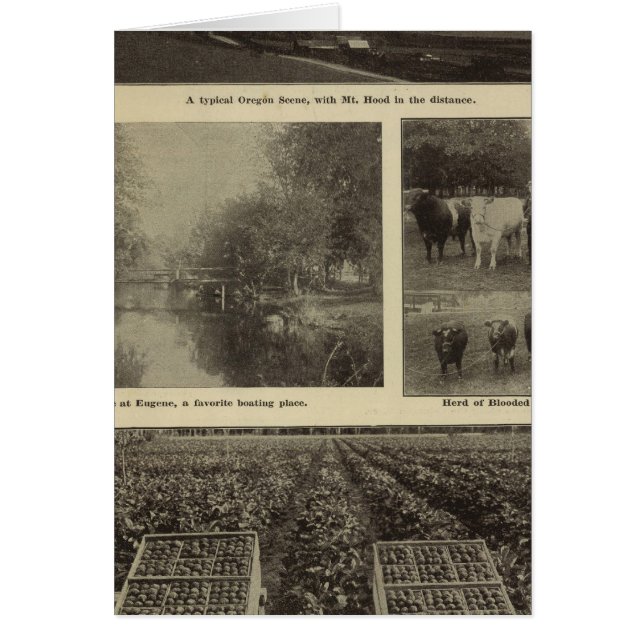 Prosperity, plenty in Oregon (Front)