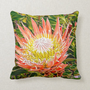Protea Australian flower photography Throw Pillow