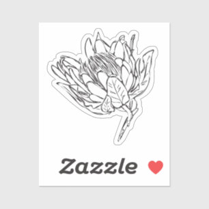 Protea Black & White custom cut sticker VIII
