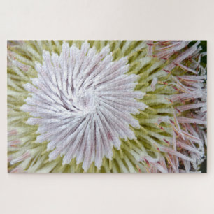 Protea cynaroides King Protea. Jigsaw Puzzle