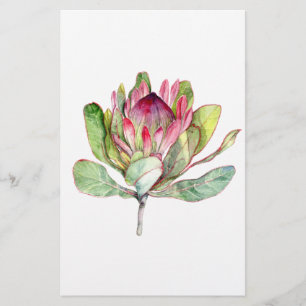 Protea Flower