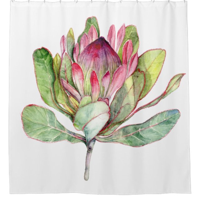 Protea Flower (Front)