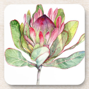 Protea Flower Coaster