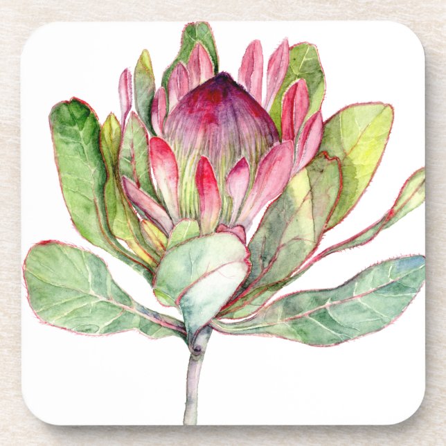 Protea Flower Coaster (Front)