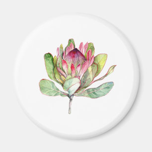 Protea Flower Magnet