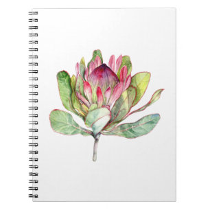 Protea Flower Notebook