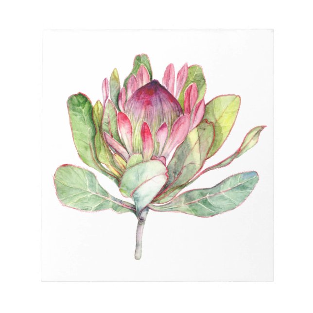 Protea Flower Notepad (Front)