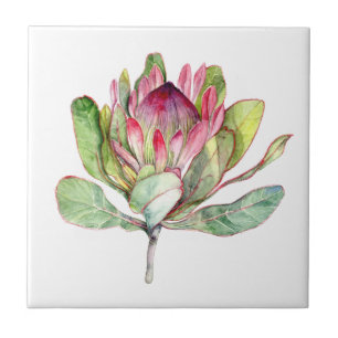Protea Flower Tile