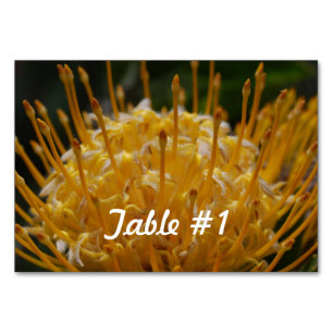 Protea Flowers Table Number