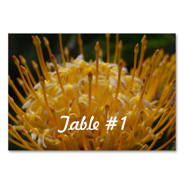 Protea Flowers Table Number (Front)