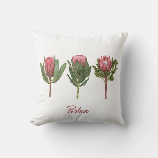 Protea Flowers Throw Pillow (Front)