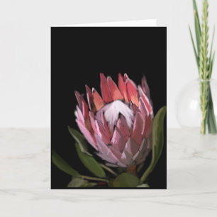 Protea Greeting Card