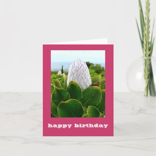 "PROTEA:  HAPPY BIRTHDAY" CARD (Front)