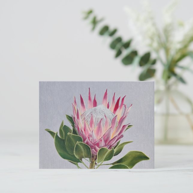 Protea Postcard (Standing Front)