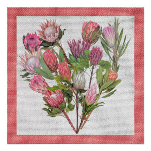 Protea Poster
