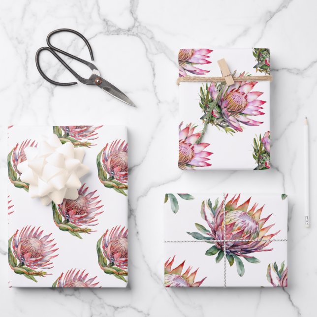 Protea sugarbush flower South African plant Wrapping Paper Sheet (Front)