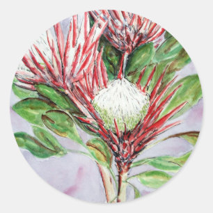 Proteas Classic Round Sticker