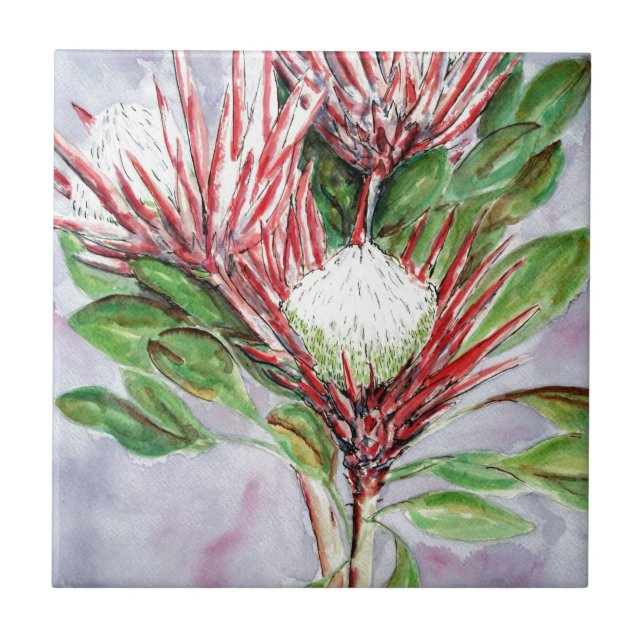 Proteas Tile (Front)