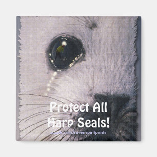 Protect All Harp Seals! Wildlife Magnet