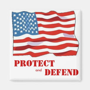 Protect and Defend Magnet