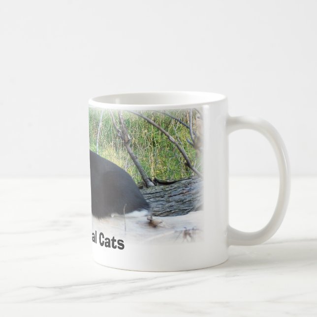 Protect Feral Cats Coffee Mug (Right)