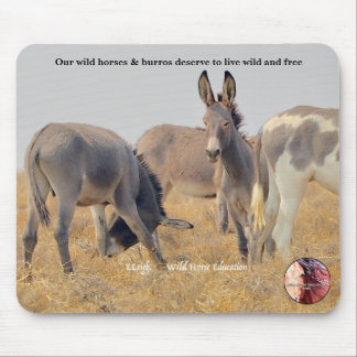 Protect our Wild Burros Mouse Pad