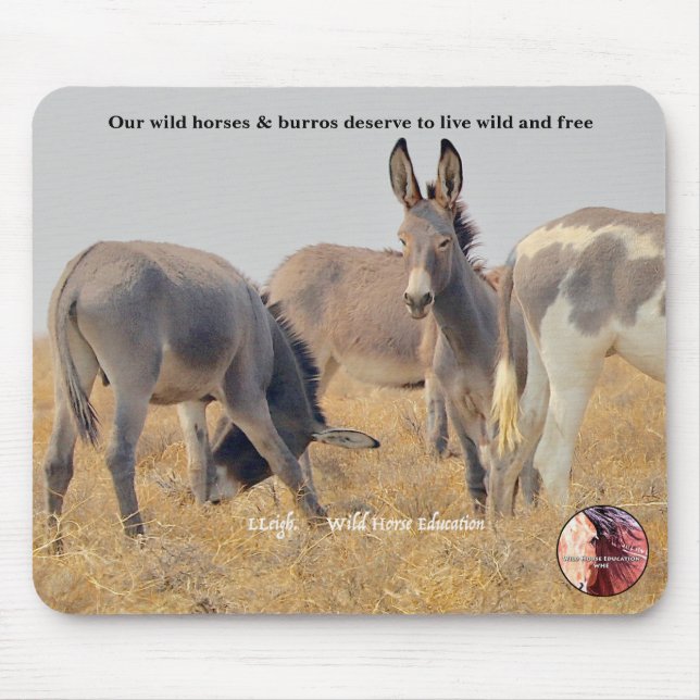Protect our Wild Burros Mouse Pad (Front)