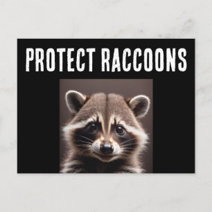 PROTECT RACCOONS POSTCARDS