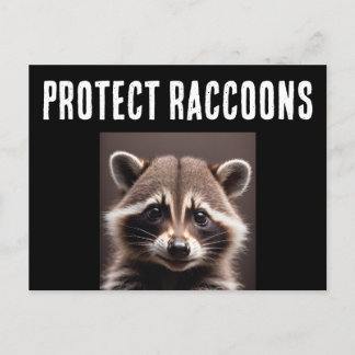PROTECT RACCOONS POSTCARDS