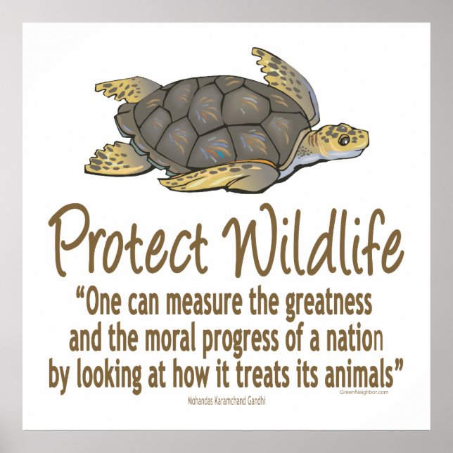 Protect Sea Turtles Poster (Front)