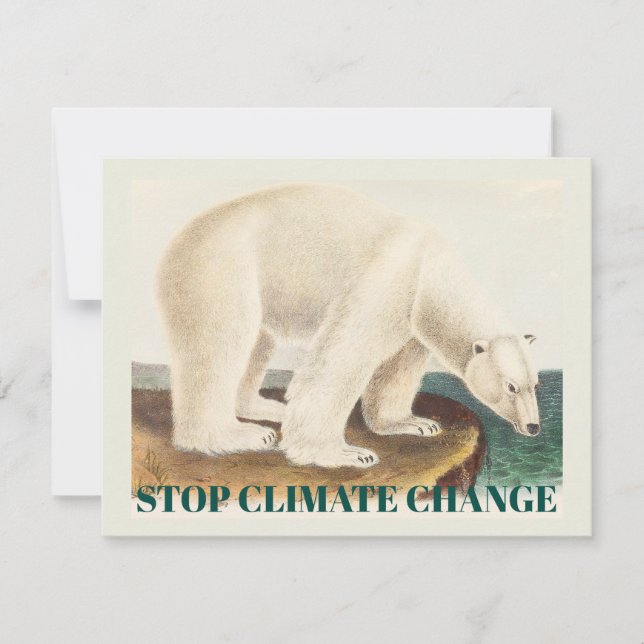 Protect the Arctic Polar Bear Climate Change Art (Front)