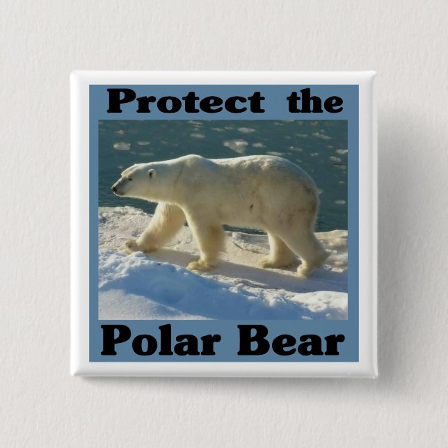 Protect the Polar Bear 2 Inch Square Button (Front)