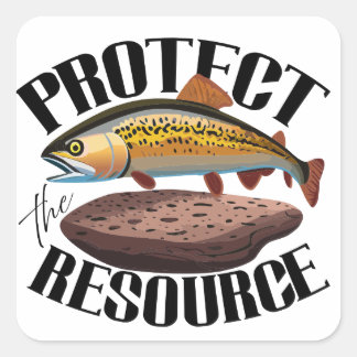 Protect The Resource With Rainbow Trout In Habitat Square Sticker