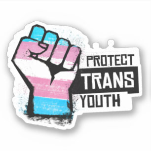 Protect Trans Youth - Pride Fist