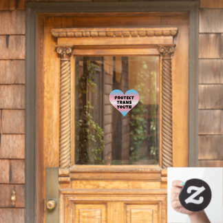 PROTECT TRANS YOUTH WINDOW CLING