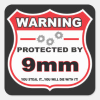 protected by 9mm shield