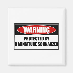 Protected By A Miniature Schnauzer Magnet