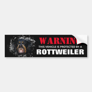 Protected by a Rottweiler Bumper Sticker