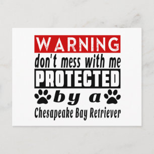 Protected By Chesapeake Bay Retriever Postcard