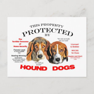 Protected by Hound Dogs Postcard