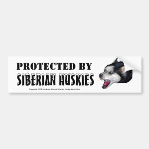 PROTECTED BY, SIBERIAN HUSKIES Bumper Sticker