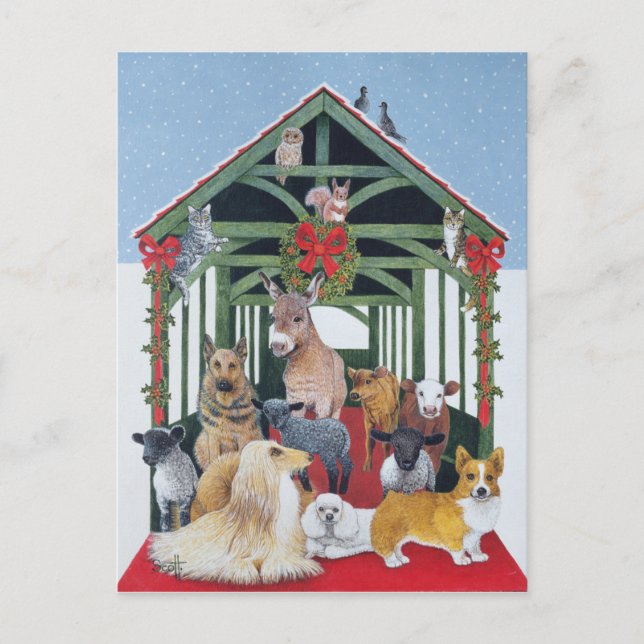 Protected Postcard (Front)