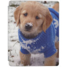 Chiot de golden retriever