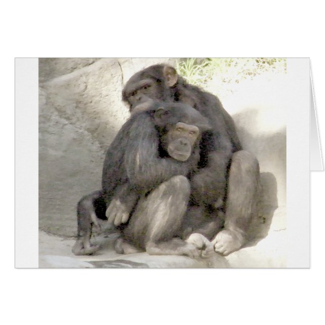 Protection of Love_ (Front Horizontal)