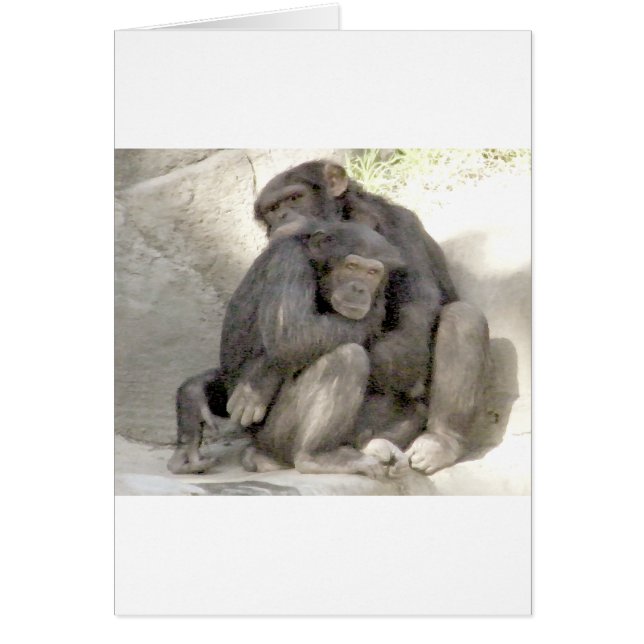 Protection of Love_ (Front)