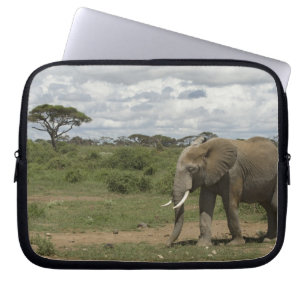 Protection Pour Ordinateur Portable Afrique, Kenya, Parc national d'Amboseli, éléphant
