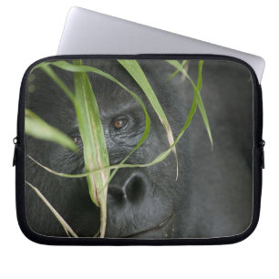 Protection Pour Ordinateur Portable Afrique, Ouganda, Bwindi