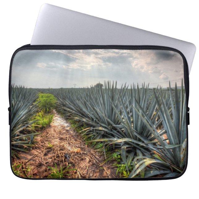 Protection Pour Ordinateur Portable Agave Tequilana (Devant)