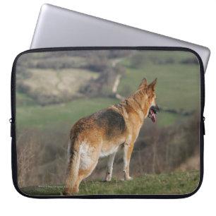 Protection Pour Ordinateur Portable Allemand Shephard regardant en bas de la colline