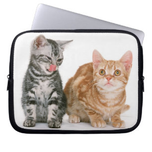 Protection Pour Ordinateur Portable Américain Shorthair